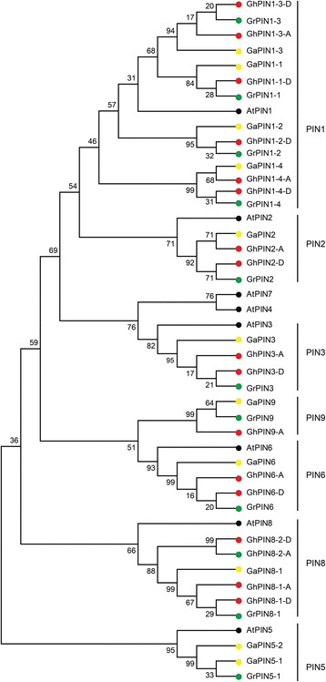 Fig. 1