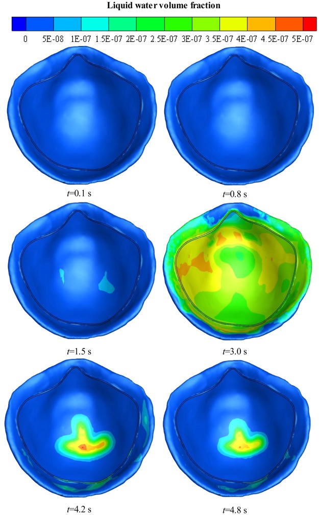 Figure 7