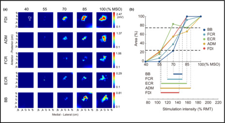 graphic file with name PHY2-10-e15527-g004.jpg