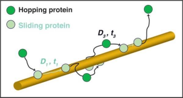 FIG. 1