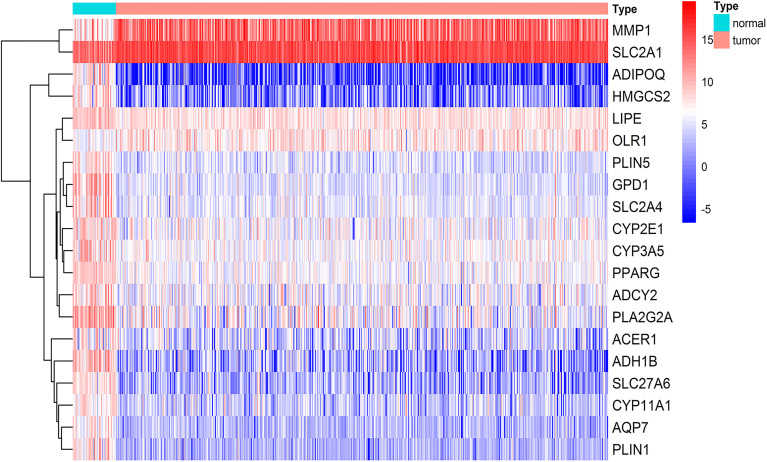 Figure 1