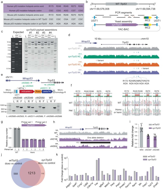 Extended Data Fig. 2