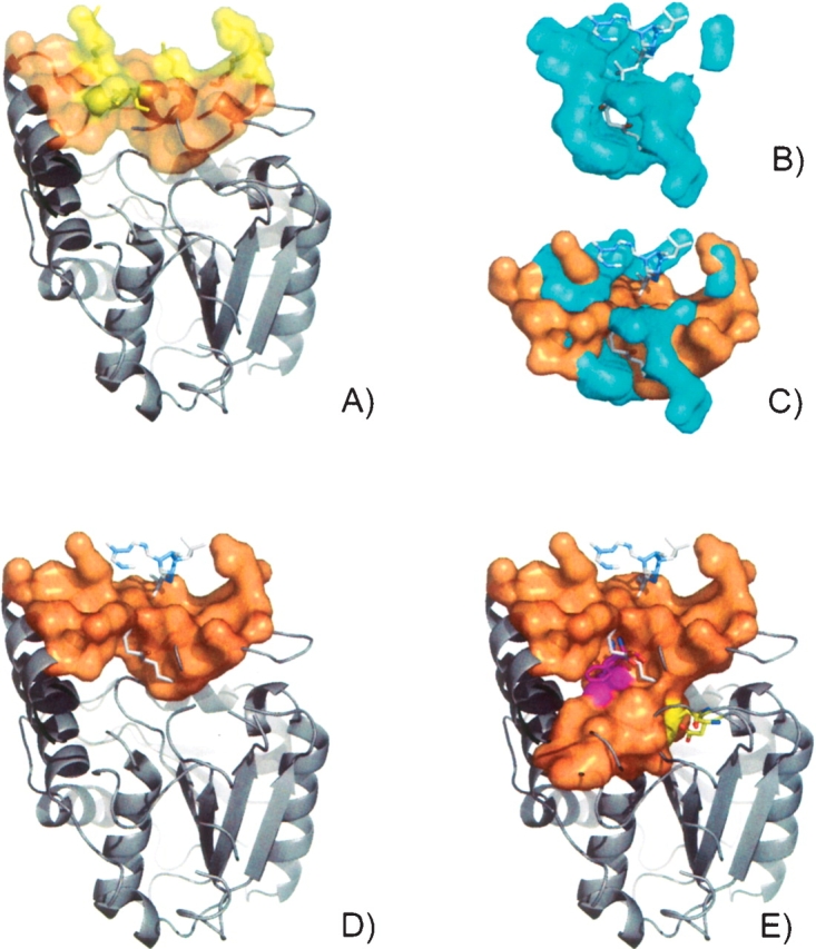 Figure 2.