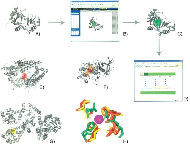 Figure 1.