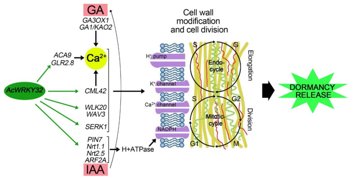 Figure 6