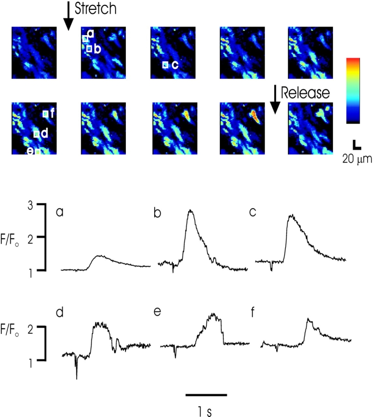 Figure 6. 