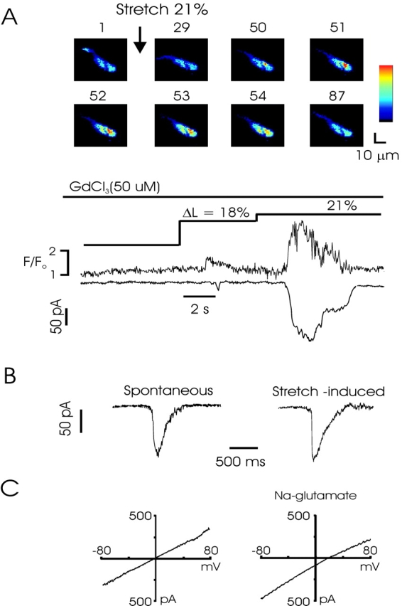 Figure 5. 