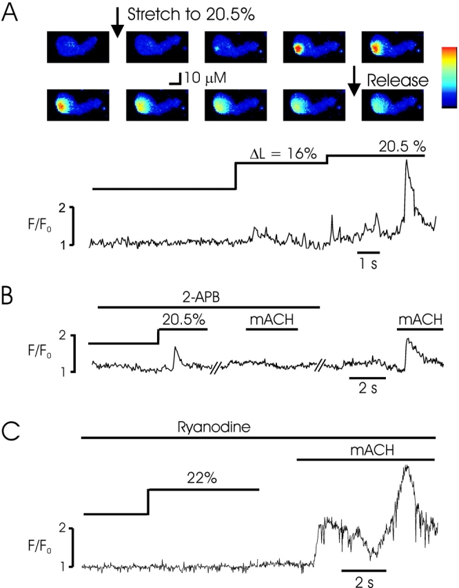 Figure 4. 