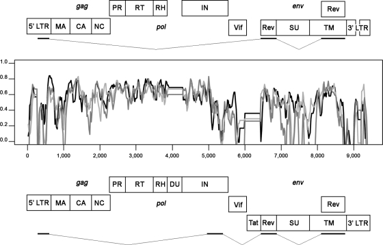 FIG. 1.