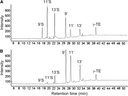 FIGURE 1 