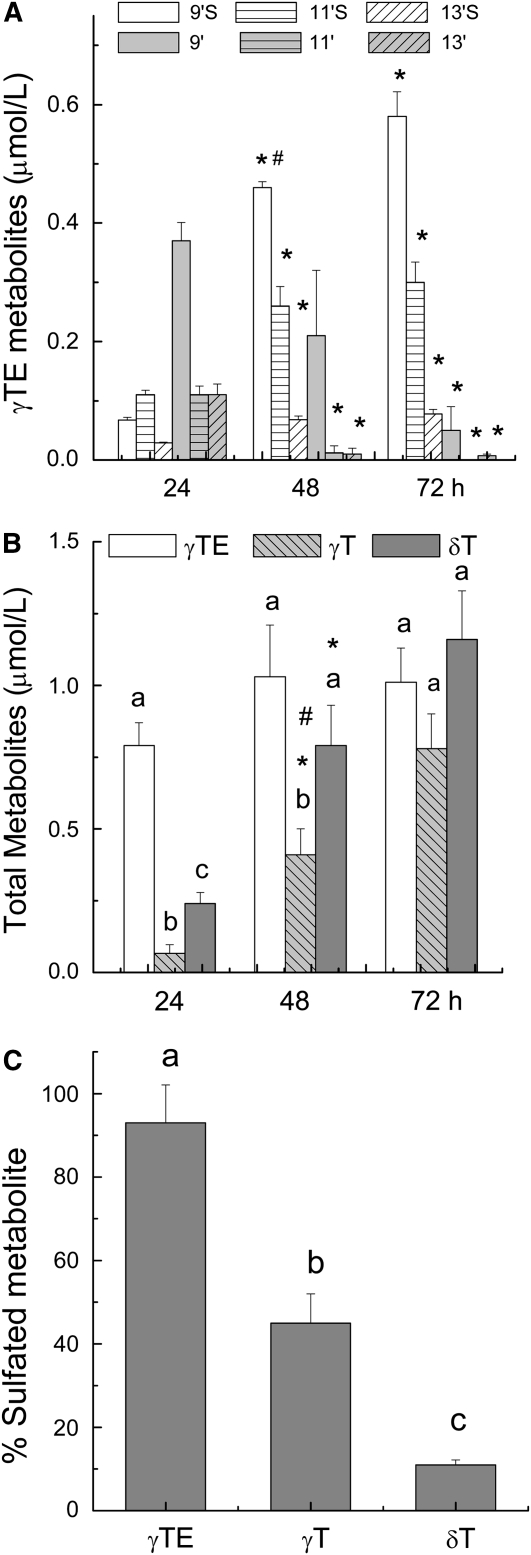 FIGURE 3 