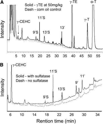 FIGURE 4 