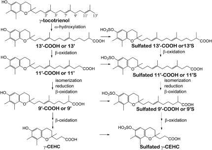 FIGURE 2 