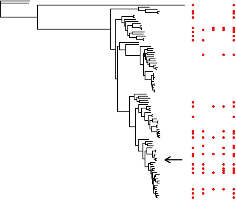 Fig. S1.