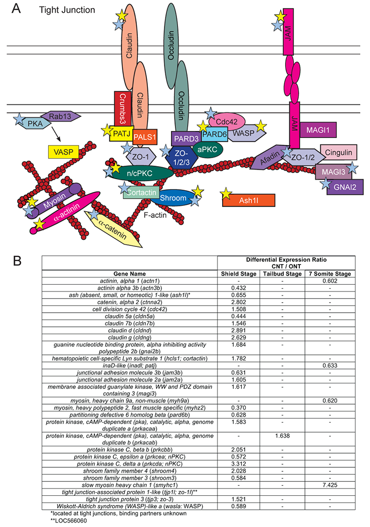 Figure 10: