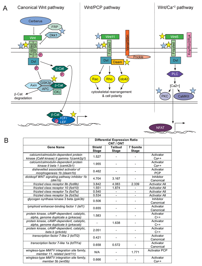 Figure 3: