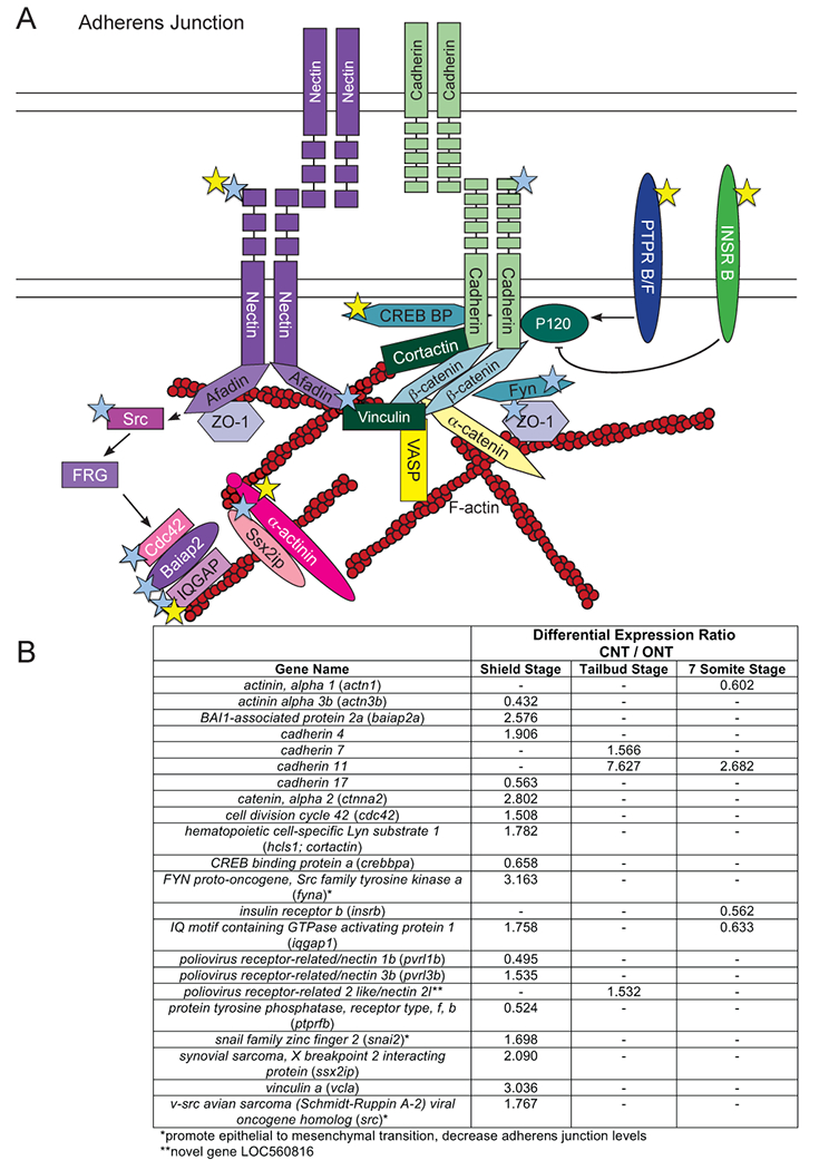 Figure 9: