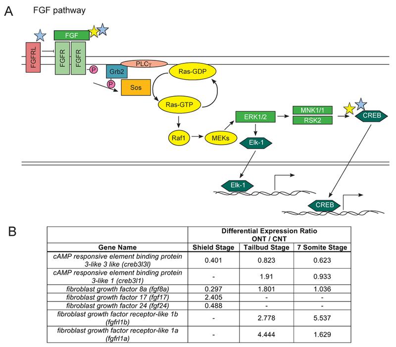 Figure 4: