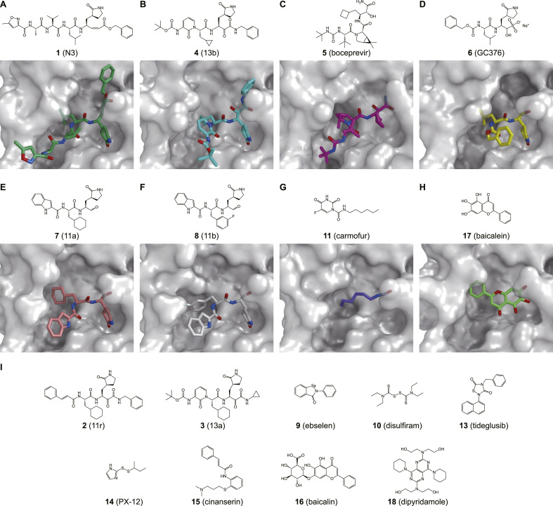 Fig. 3