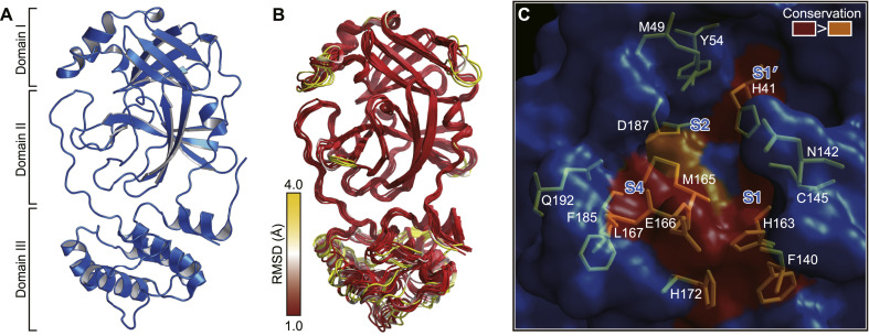 Fig. 2