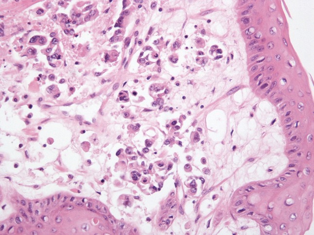 Fig. 2