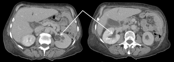 Fig. 6