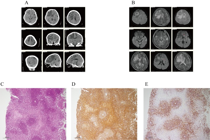 Fig. 3