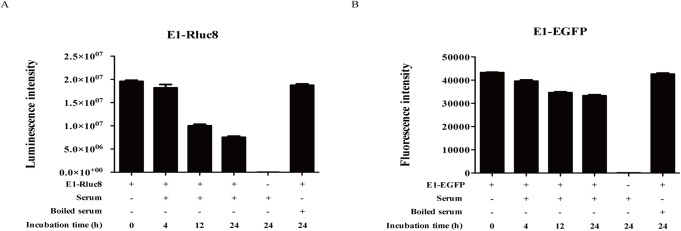 Fig 4