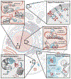 Fig. 3.