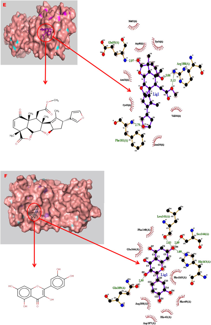 Figure 4