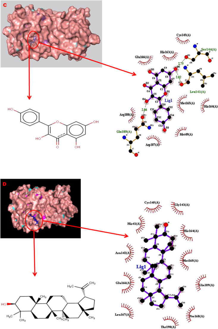 Figure 4