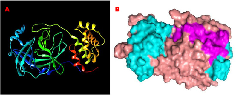 Figure 2