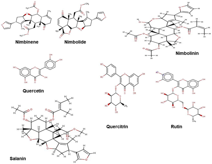 Figure 1