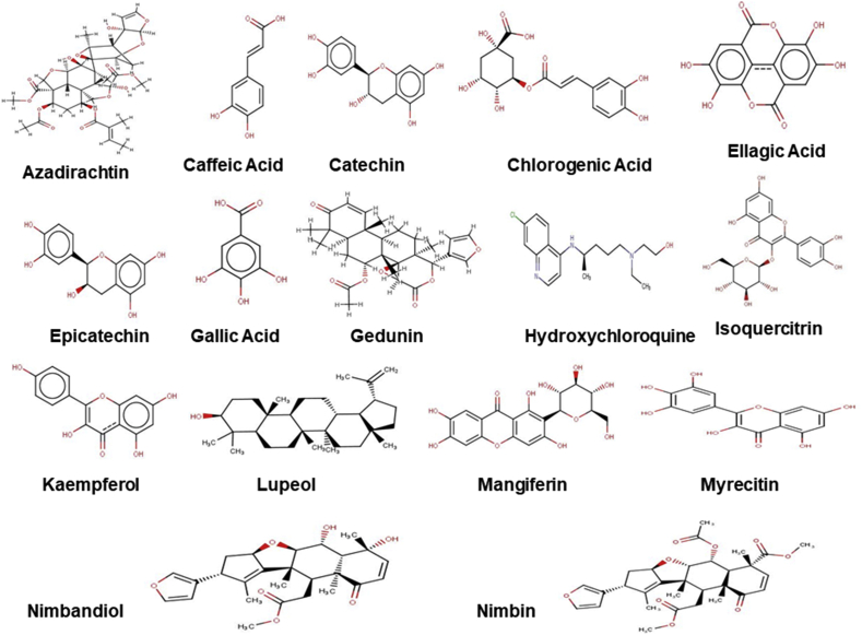 Figure 1