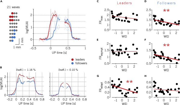 Figure 5