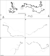 Fig. 3