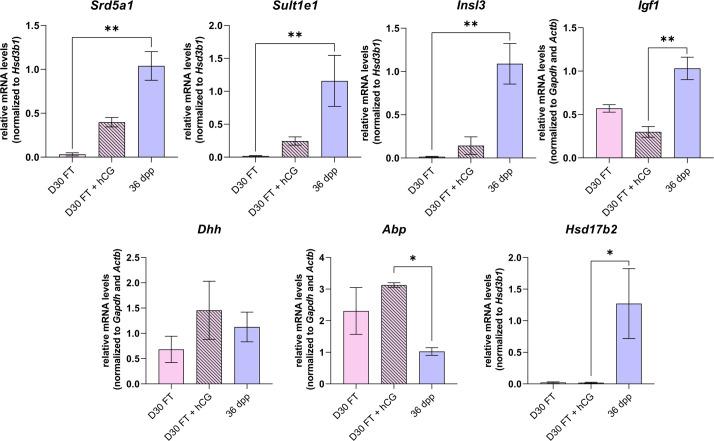 Figure 6—figure supplement 2.