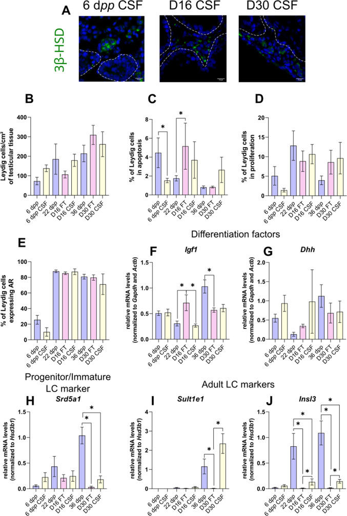 Figure 1—figure supplement 1.