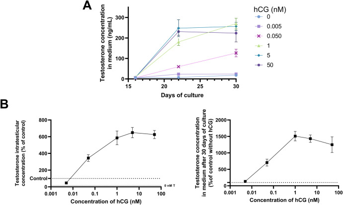 Figure 6—figure supplement 1.