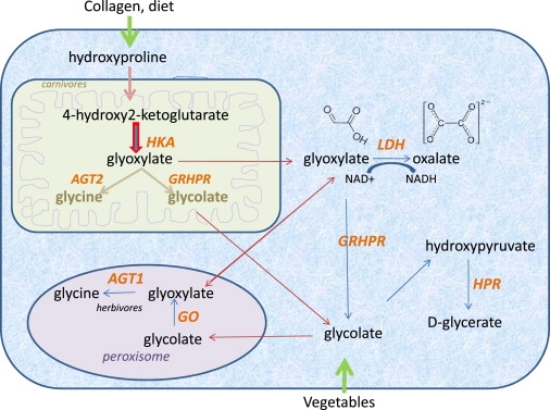 Figure 3