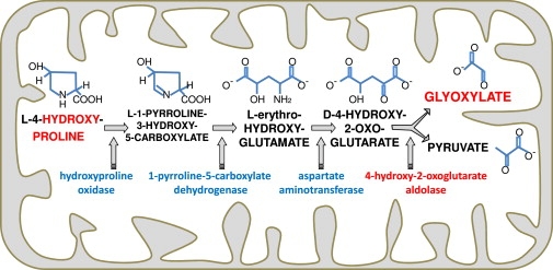 Figure 4