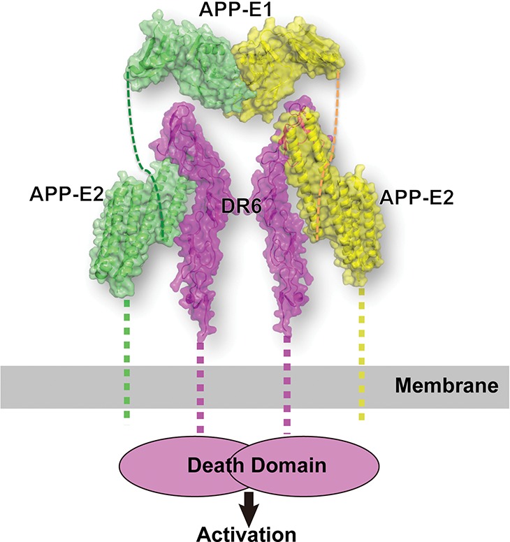 Figure 3.