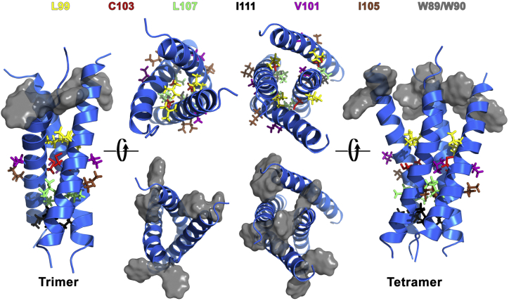 Figure 6