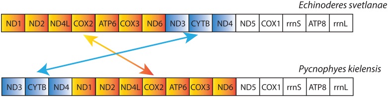 Fig 5