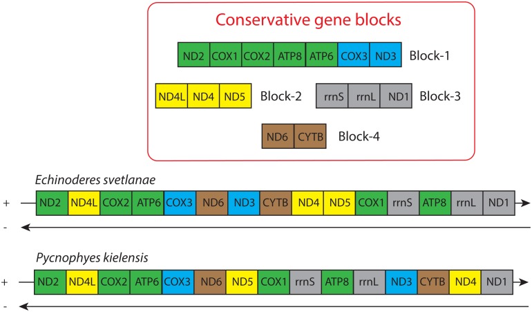 Fig 6