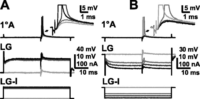 Fig. 5.