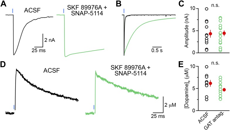 Figure 8—figure supplement 1.