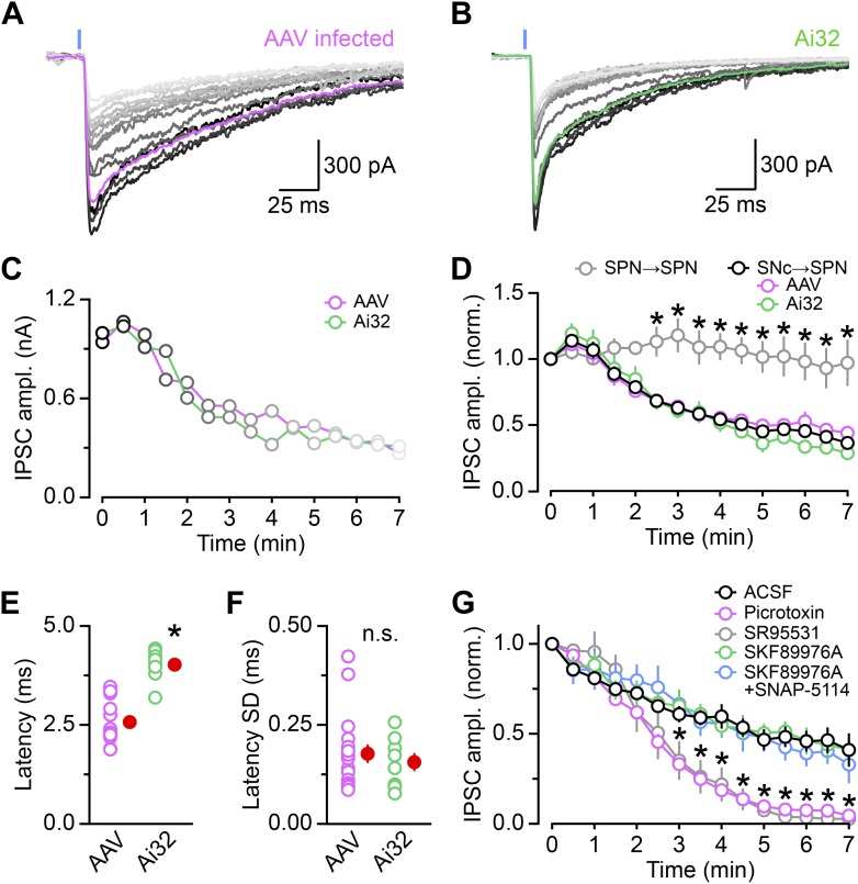 Figure 1—figure supplement 1.