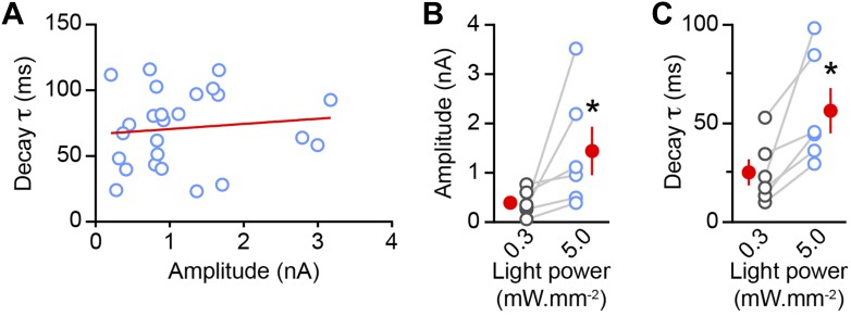 Figure 2—figure supplement 1.