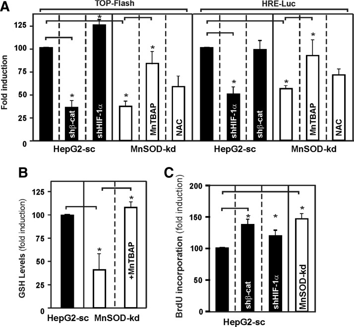 FIG. 10.